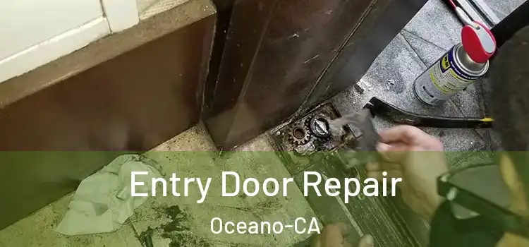  Entry Door Repair Oceano-CA