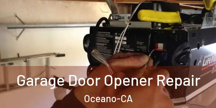  Garage Door Opener Repair Oceano-CA