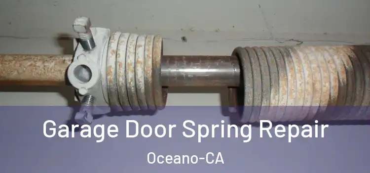  Garage Door Spring Repair Oceano-CA