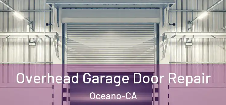  Overhead Garage Door Repair Oceano-CA