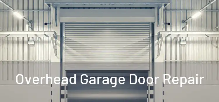  Overhead Garage Door Repair 